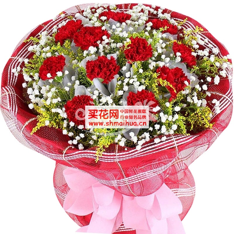 送母亲什么花好?